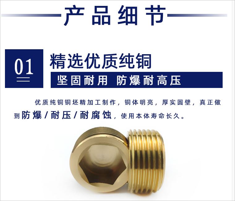 Brass Die Plug (PT)